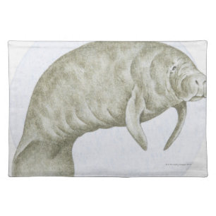 Illustration of a Manatee (Trichechus sp.) Cloth Placemat