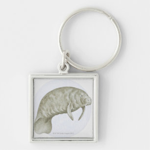 Illustration of a Manatee (Trichechus sp.) Keychain