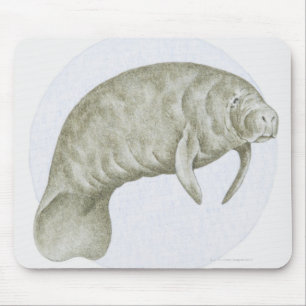 Illustration of a Manatee (Trichechus sp.) Mouse Pad