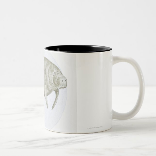 Illustration of a Manatee (Trichechus sp.) Two-Tone Coffee Mug (Right)
