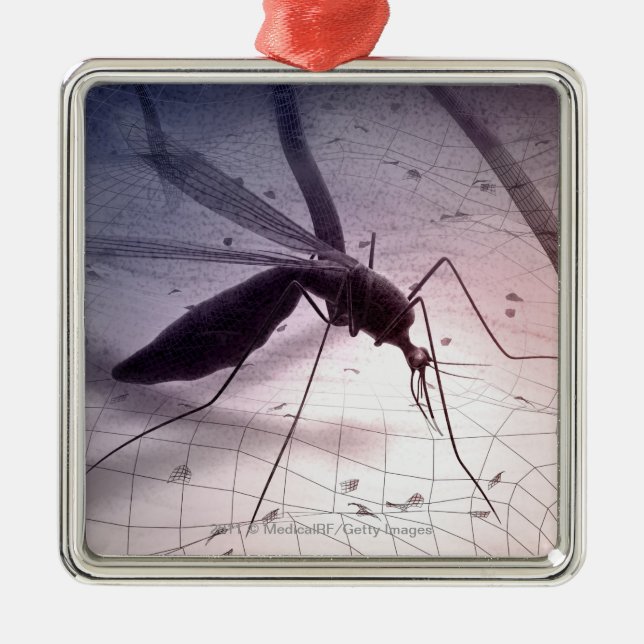 Illustration of a mosquito biting metal ornament (Front)