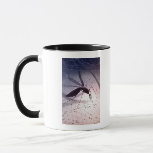 Illustration of a mosquito biting mug