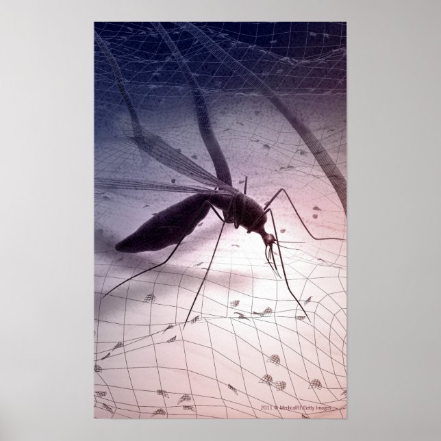 Illustration of a mosquito biting poster (Front)