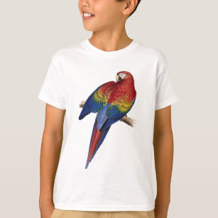 Illustration of A Scarlet Macaw Vector T-Shirt