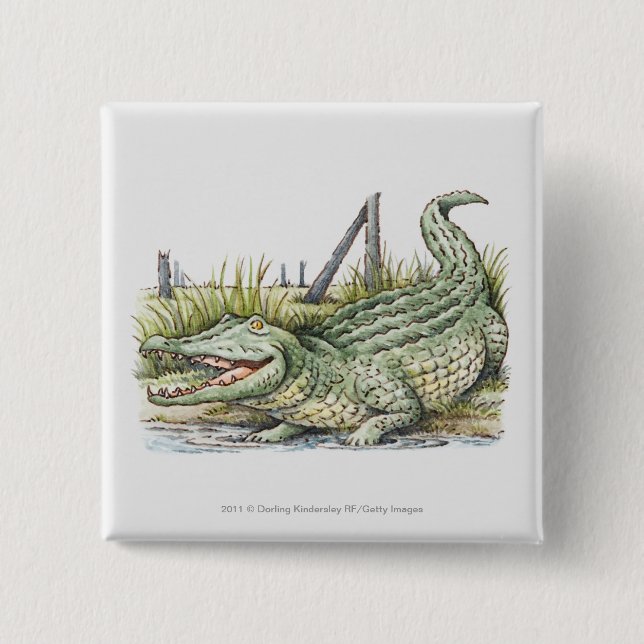 Illustration of alligator on the shore button (Front)