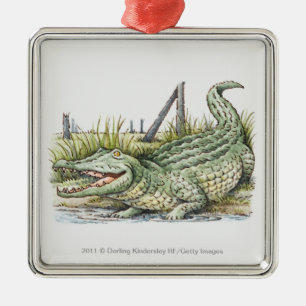 Illustration of alligator on the shore metal ornament