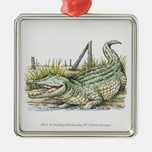 Illustration of alligator on the shore metal ornament (Front)