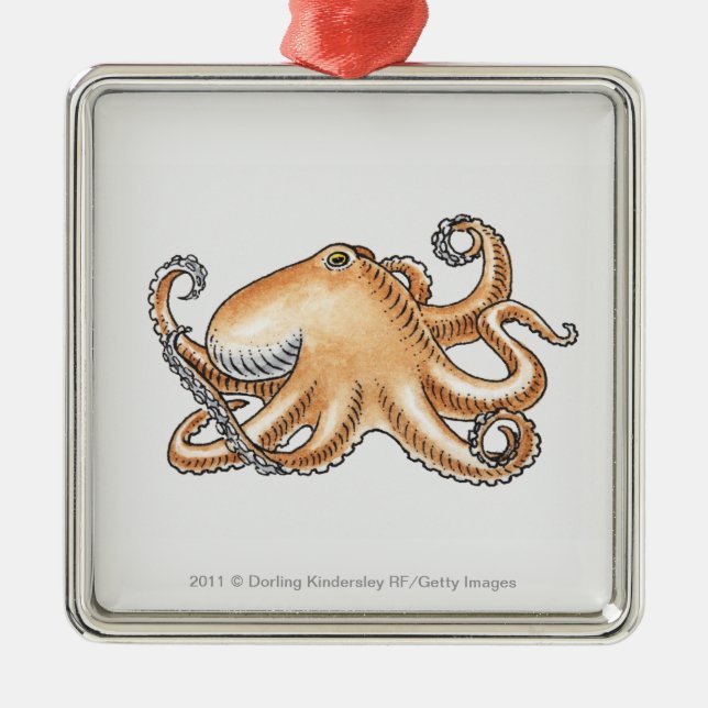 Illustration of an octopus metal ornament (Front)