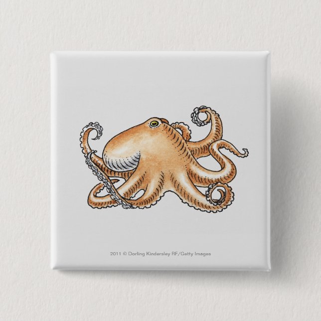 Illustration of an octopus pinback button (Front)