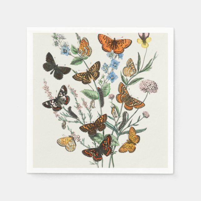 Illustration of butterflies on flowers napkins (Front)