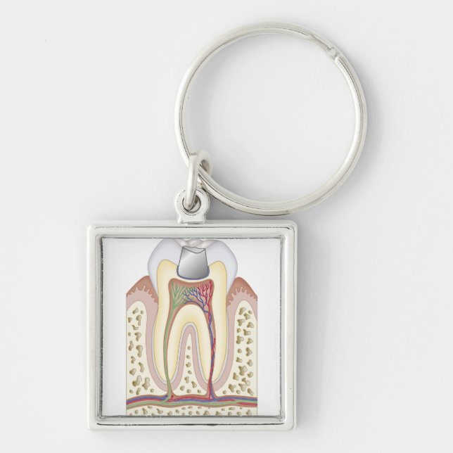 Illustration of Dental Filling Keychain (Front)