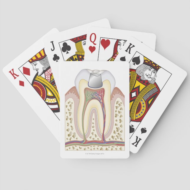 Illustration of Dental Filling Poker Cards (Back)