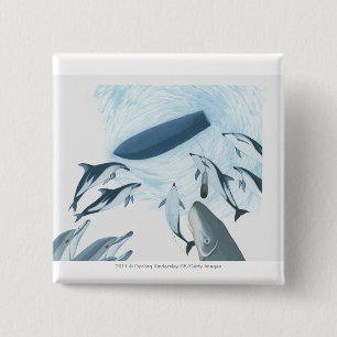 Illustration of dolphins looking up at a boat pinback button