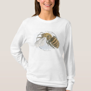 Illustration of European Honey Bee T-Shirt
