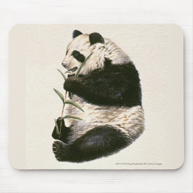 Illustration of Giant panda feeding on bamboo Mouse Pad (Front)