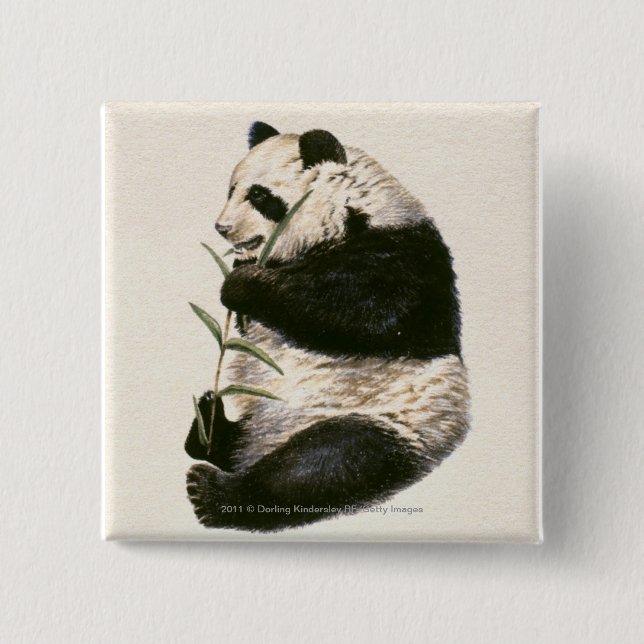 Illustration of Giant panda feeding on bamboo Pinback Button (Front)