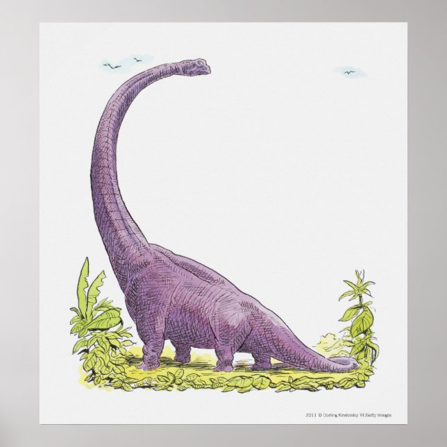 Illustration of Giraffatitan dinosaur Poster (Front)