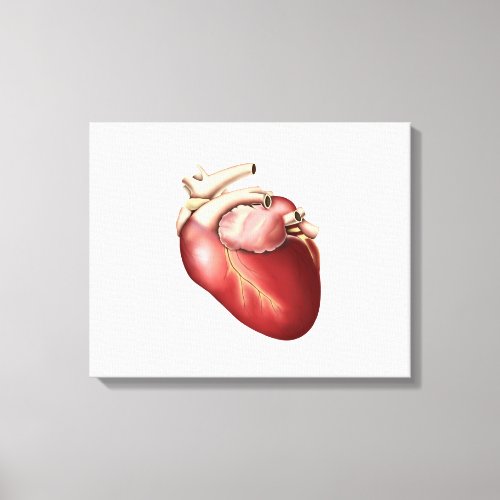 Illustration Of Human Heart Canvas Print
