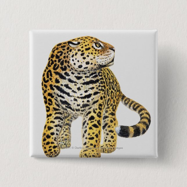 Illustration of Jaguar with head in profile Pinback Button (Front)
