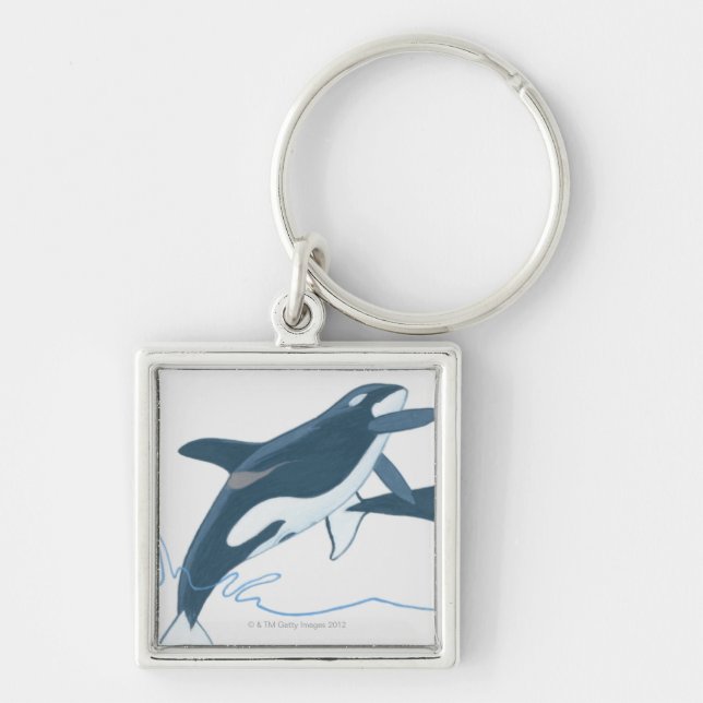Illustration of Killer Whales (Orcinus orca) Keychain (Front)