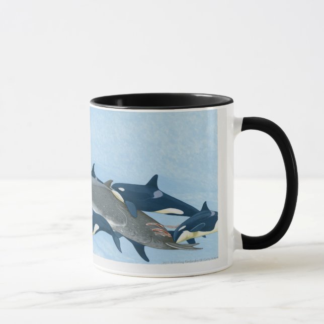 Illustration of Killer Whales working in a group Mug (Right)