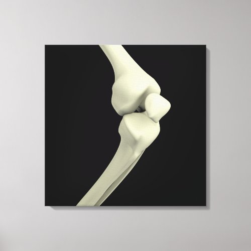 Illustration Of Knee Bone Bending Canvas Print