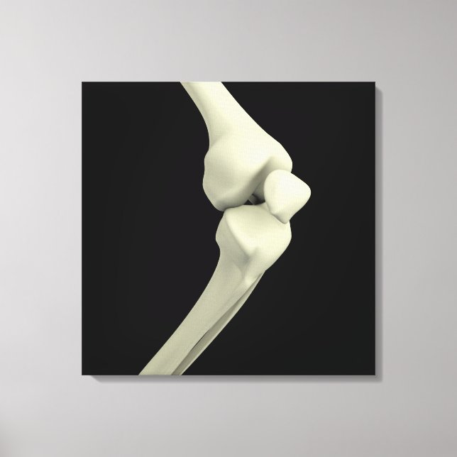 Illustration Of Knee Bone, Bending Canvas Print (Front)