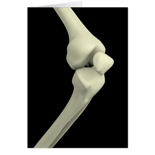 Illustration Of Knee Bone, Bending Cards (Front)