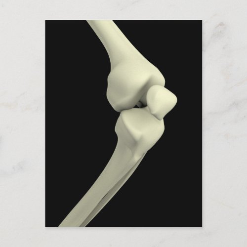 Illustration Of Knee Bone Bending Postcard