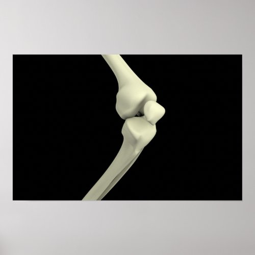 Illustration Of Knee Bone Bending Poster