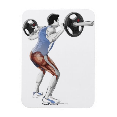 Illustration of muscles used by man to lift magnet