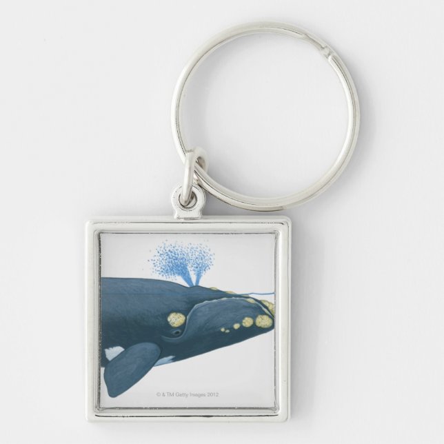 Illustration of North Pacific Right Whale Keychain (Front)
