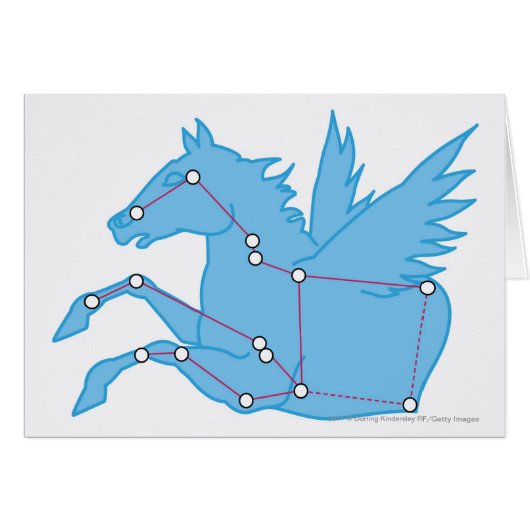 Illustration of Pegasus constellation Cards (Front Horizontal)