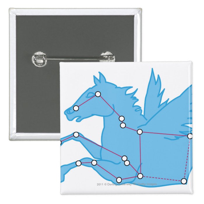 Illustration of Pegasus constellation Pins