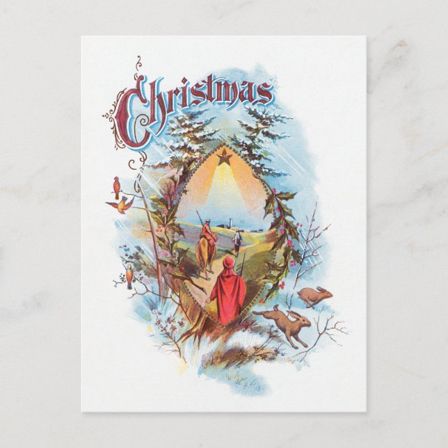 Illustration Of The Biblical Magi Postcard (Front)