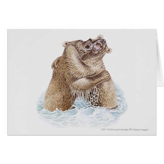 Illustration of two Brown Bears fighting in water Cards (Front Horizontal)