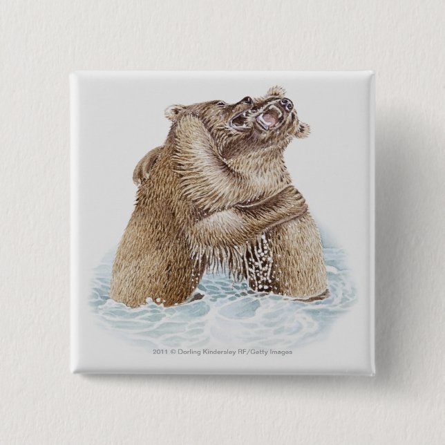 Illustration of two Brown Bears fighting in water Pinback Button (Front)