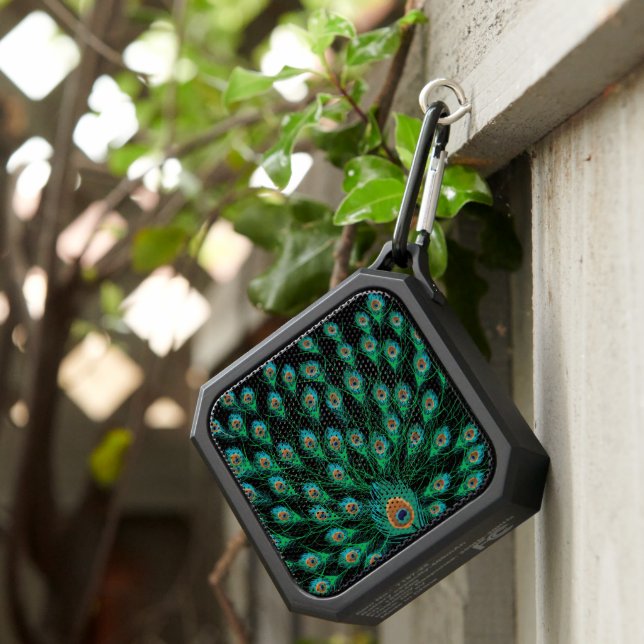Illustration With Peacock Feathers on Black Bluetooth Speaker (Inisitu)