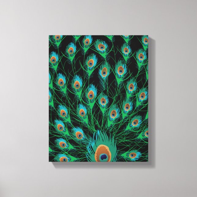 Illustration With Peacock Feathers on Black Canvas Print (Front)