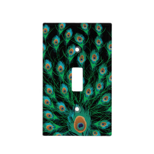 Illustration With Peacock Feathers on Black Light Switch Cover