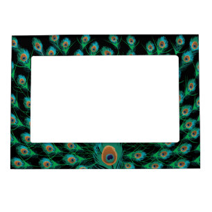 Illustration With Peacock Feathers on Black Magnetic Photo Frame