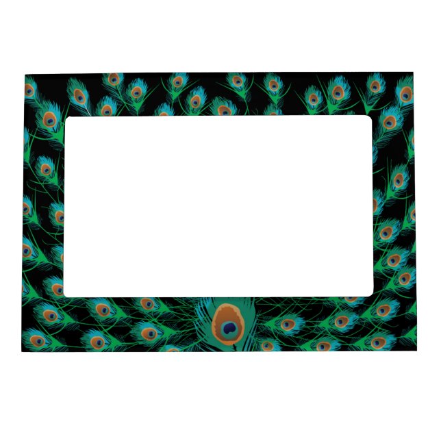 Illustration With Peacock Feathers on Black Magnetic Photo Frame (Front)