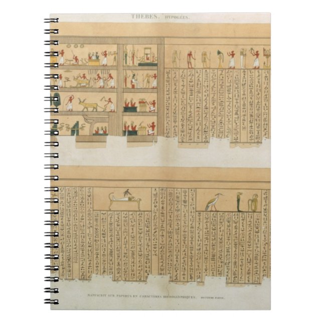 Illustrations of a Pampus manuscript with hierogly Notebook (Front)