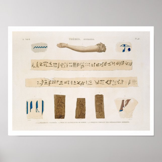 Illustrations of Hieroglyphics and the arm of a mu Poster (Front)