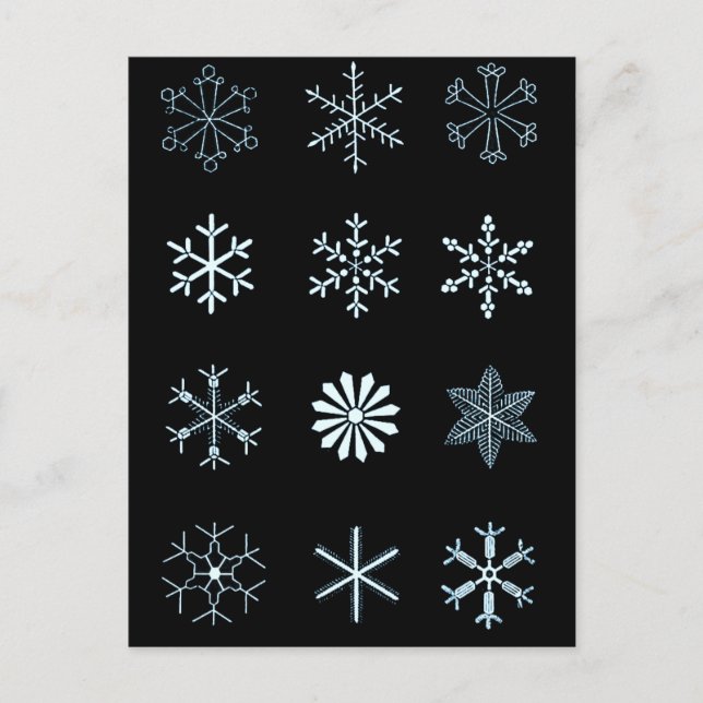 Illustrations of Snowflakes (black) Postcard (Front)
