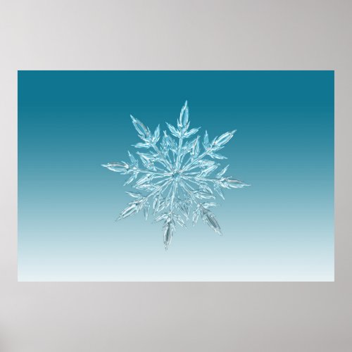illustrations snowflake ice crystal winter snow poster