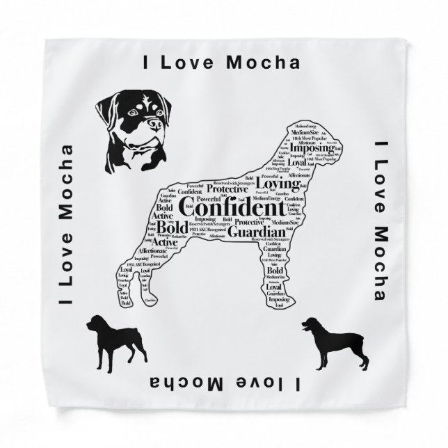 ILM18 BANDANA (Front)