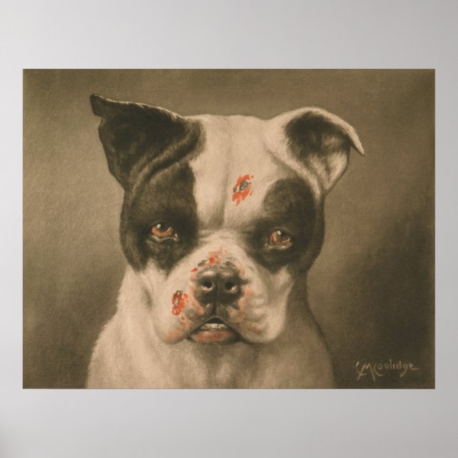 I'm a Bad Dog! What Kind of a Dog Are You? Poster (Front)