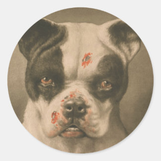 I'm a Bad Dog What Kind of Dog Are You? Classic Round Sticker
