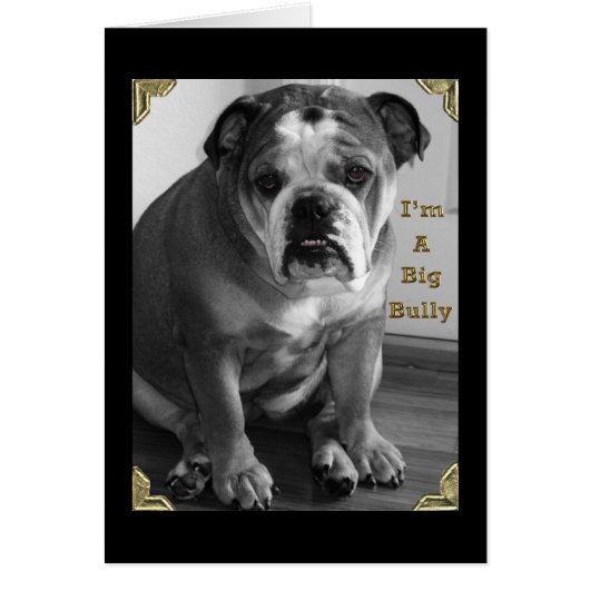 i'm a big bully cards (Front)